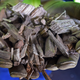 Wood pellets to be burned in a biomass-powered plant.